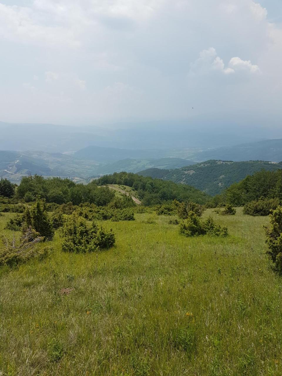 Appartamento Milmari M18 Kopaonik Esterno foto